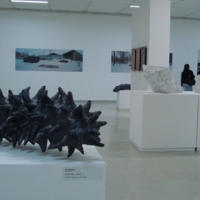 xvii-salao-embu-das-artes