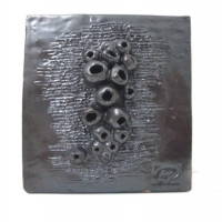 serie-pomacea-painel